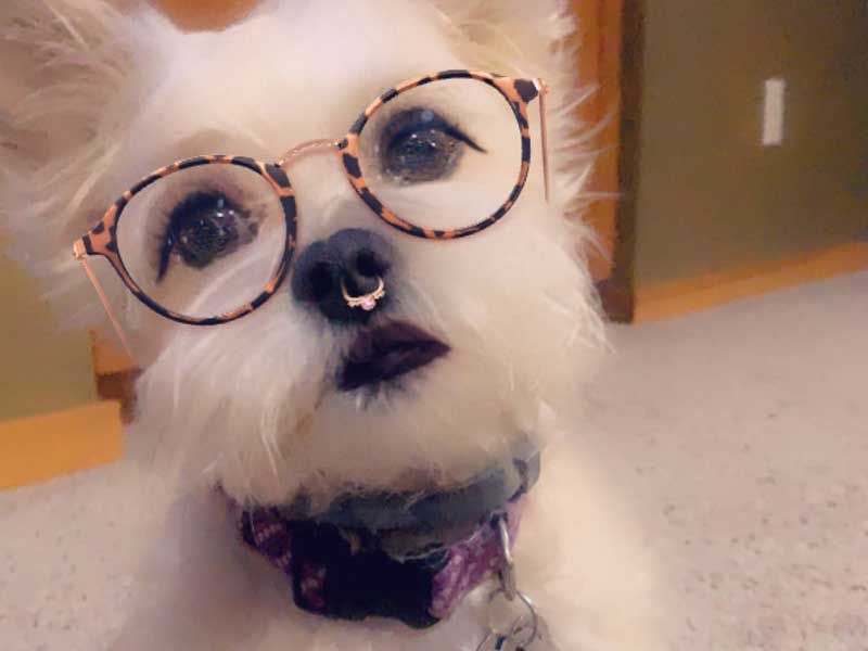 Lucy